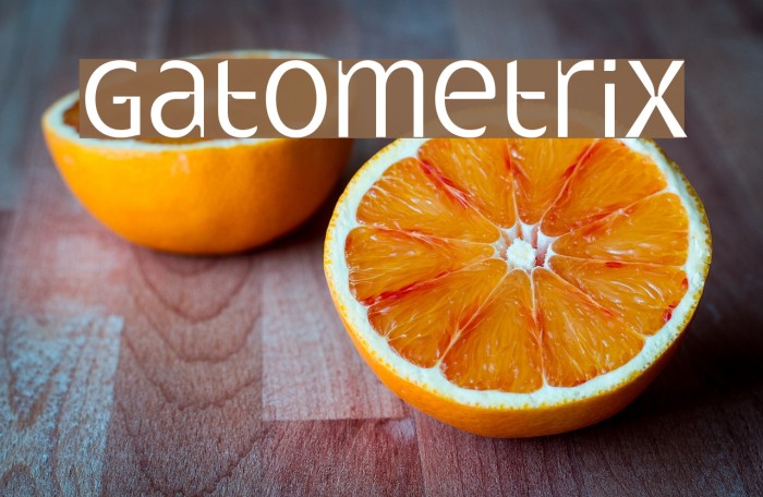 Gatometrix Example 1