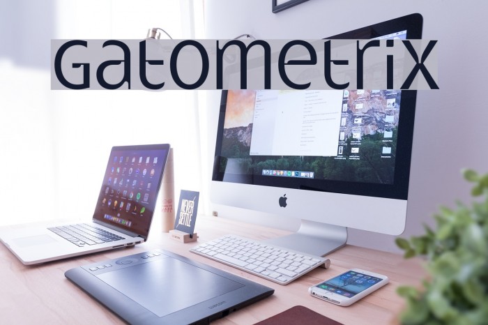 Gatometrix Example 3