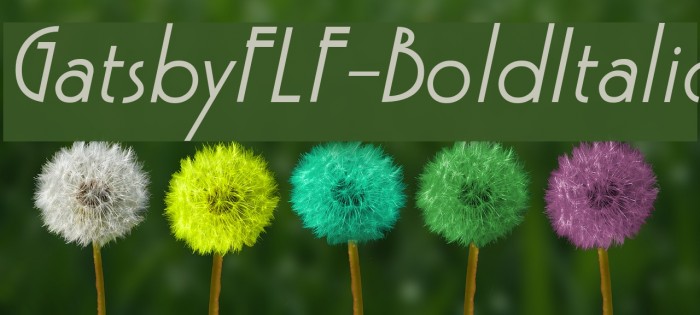 GatsbyFLF-BoldItalic Font examples