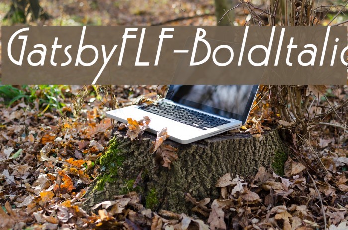 GatsbyFLF-BoldItalic Font examples
