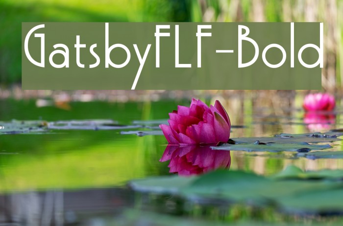 GatsbyFLF-Bold Font examples