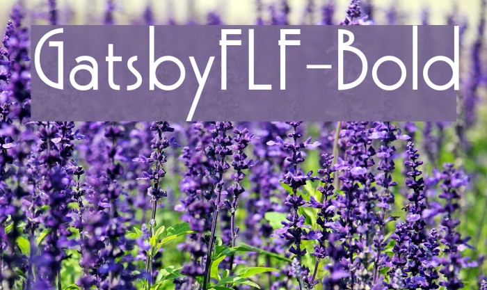 GatsbyFLF-Bold Font examples