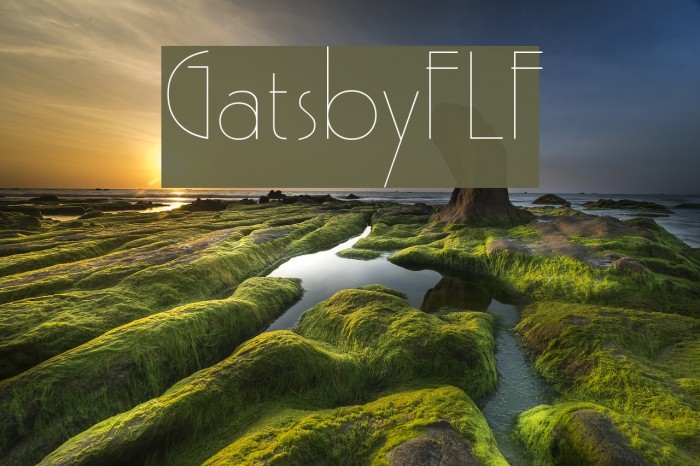 GatsbyFLF Шрифта examples