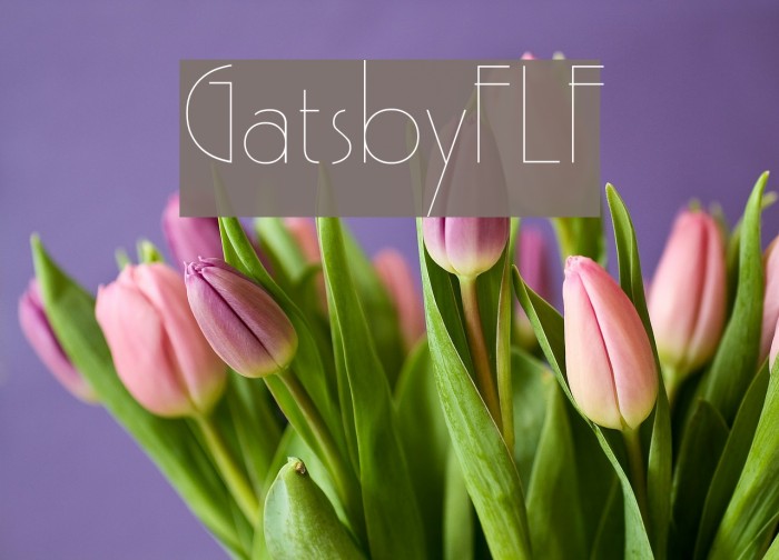 GatsbyFLF Шрифта examples