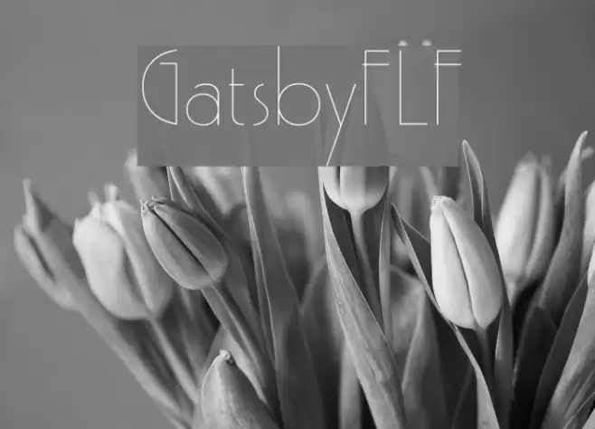 GatsbyFLF Font examples