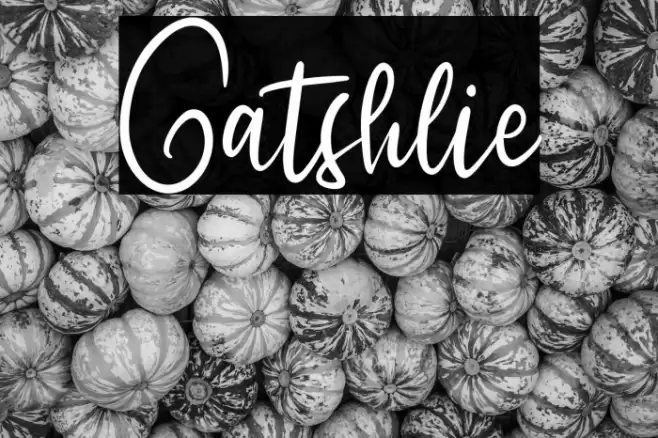 Gatshlie Font examples