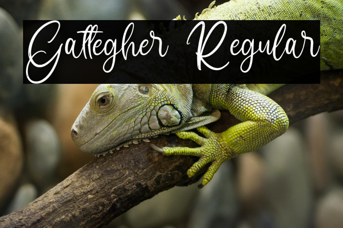 Gattegher Regular Example 3