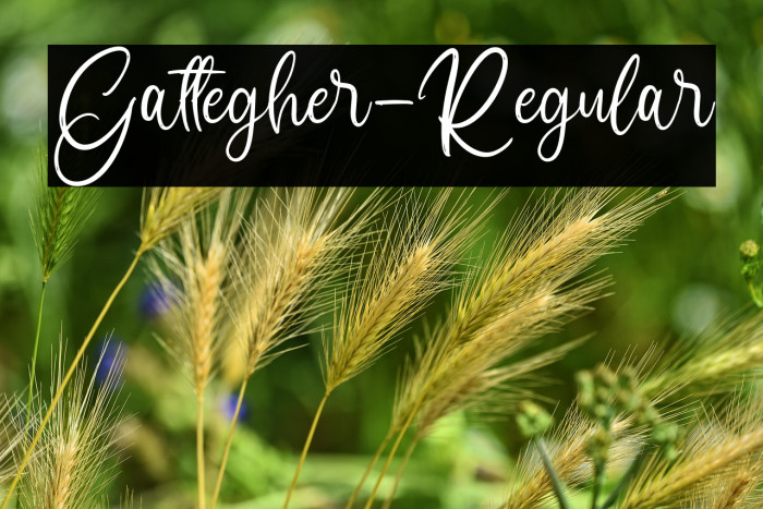 Gattegher-Regular Example 2