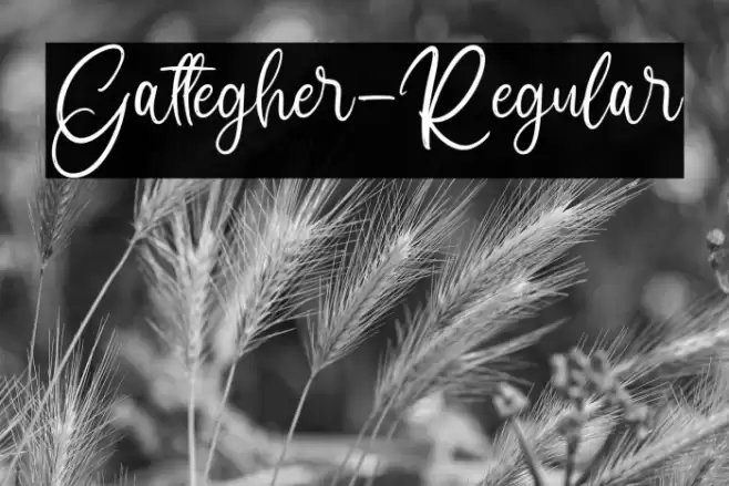 Gattegher-Regular Font examples