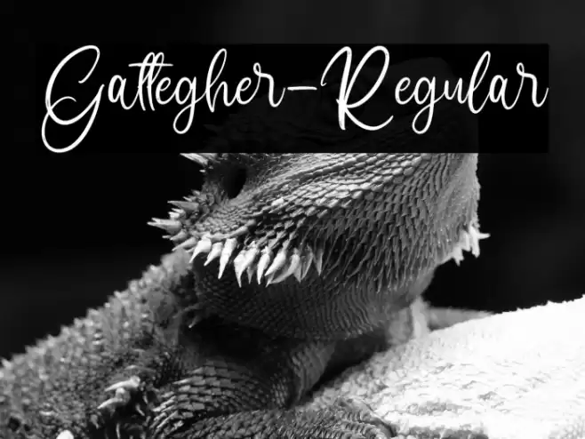 Gattegher-Regular Font examples