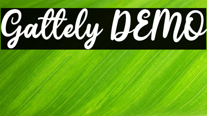 Gattely DEMO Example 1