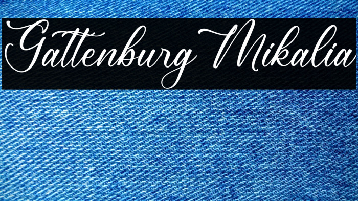 Gattenburg Mikalia Example 1