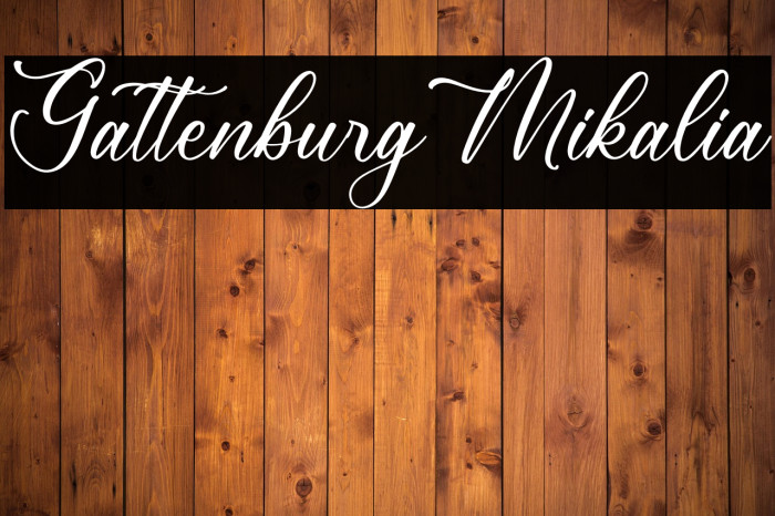 Gattenburg Mikalia Example 3