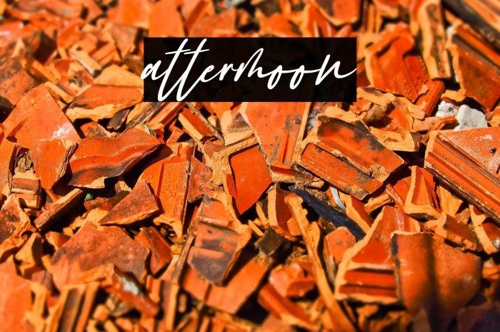 Gattermoon Example 2