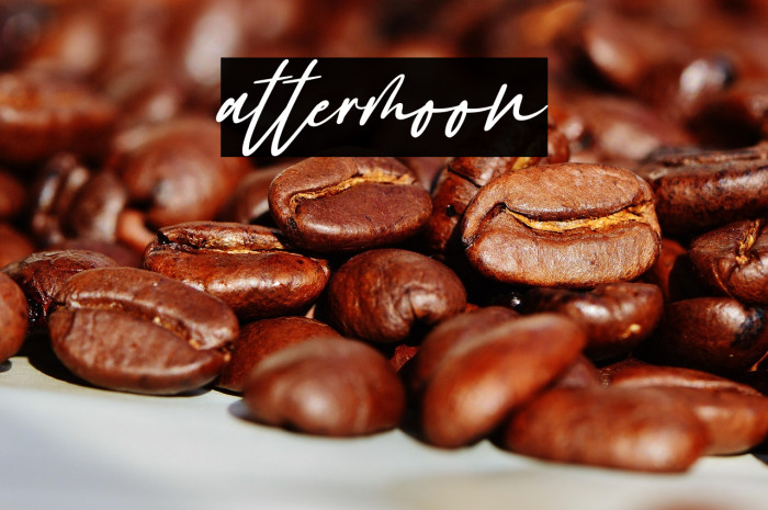 Gattermoon Example 3