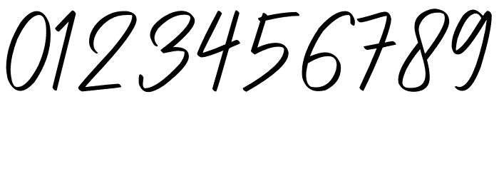 Gatteway Signature Font OTHER CHARS