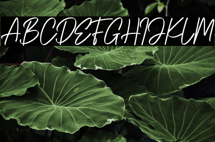 Gatteway Signature Example 1