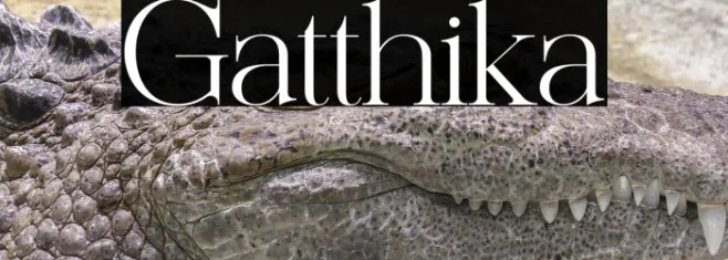 Gatthika Example 1