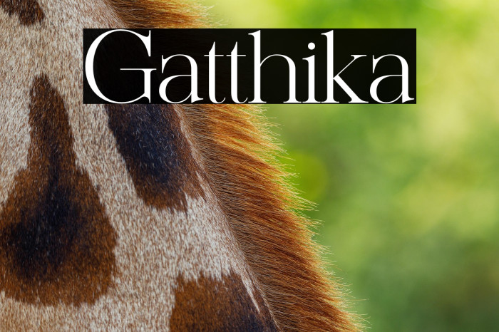 Gatthika Example 2
