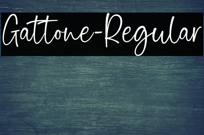 Gattone-Regular Example 2