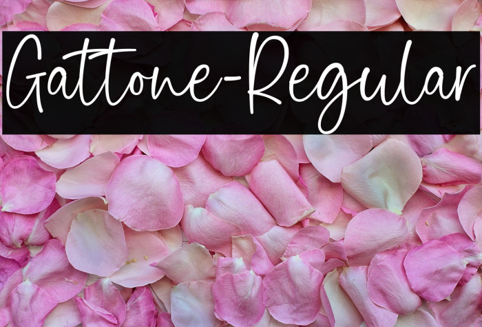 Gattone-Regular Example 3