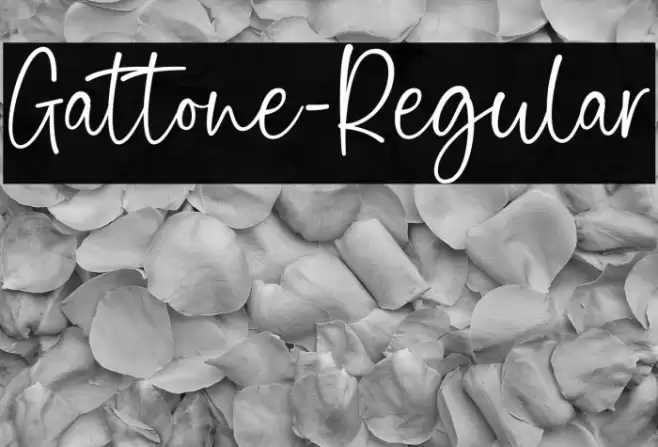 Gattone-Regular Font examples