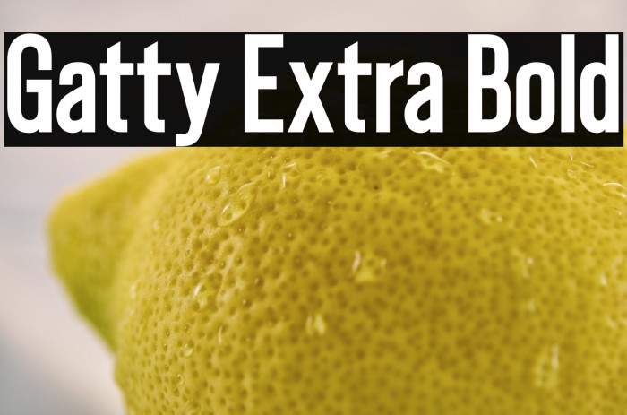 Gatty Extra Bold Example 1