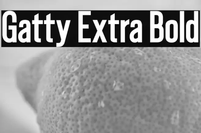 Gatty Extra Bold Font examples