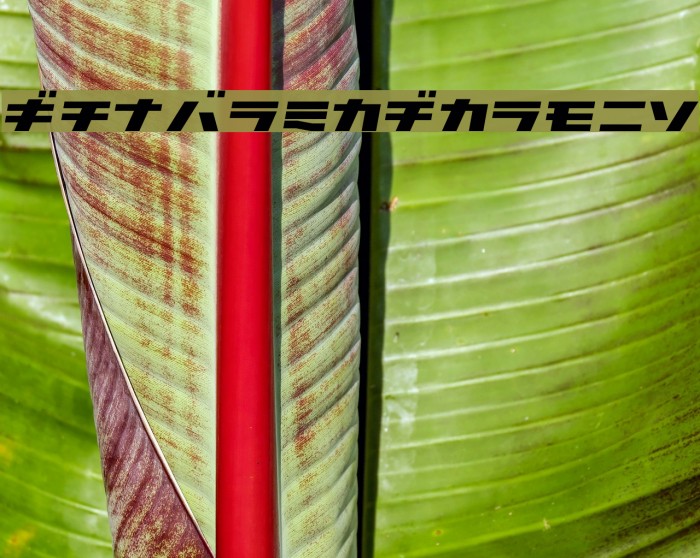 GauFontAtomic Fonte examples
