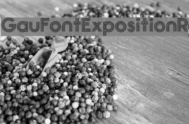 GauFontExpositionR Font examples