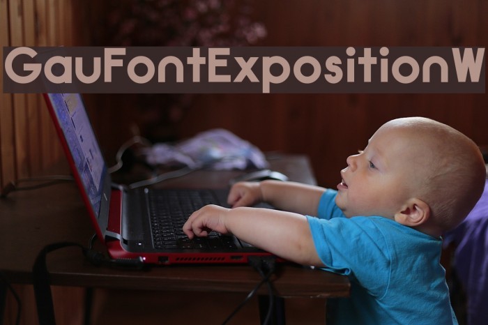 GauFontExpositionW Font examples