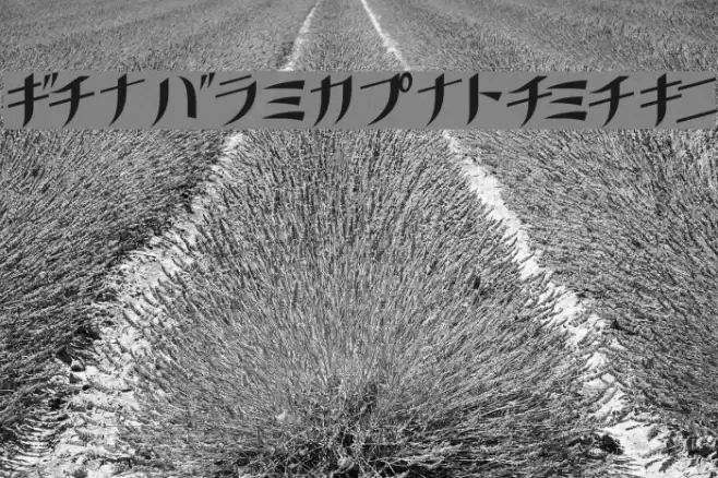 GauFontKusanagi Font examples