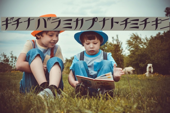 GauFontKusanagi Example 2