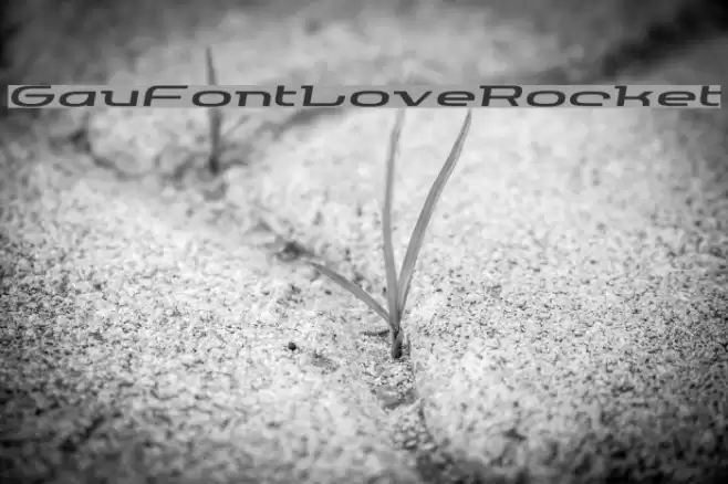 GauFontLoveRocket Font examples