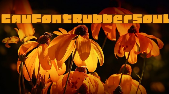 GauFontRubberSoul Font examples