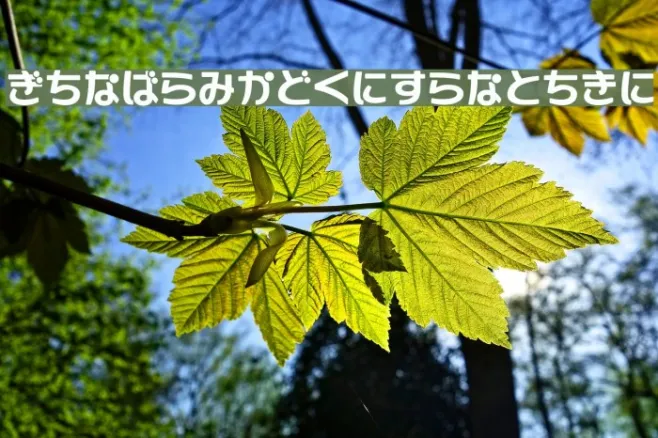 GauFontShirousagi Example 3