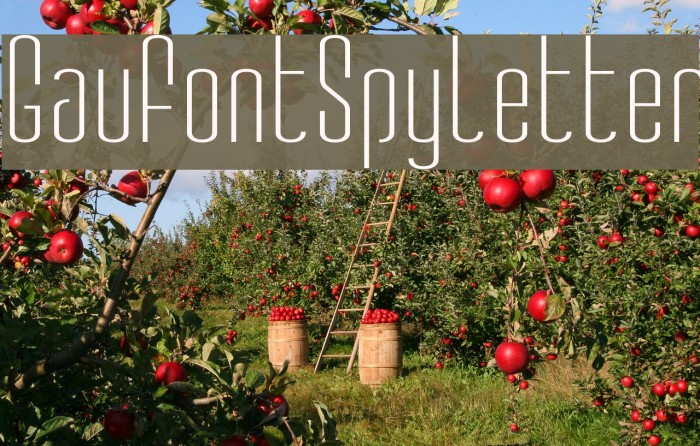 GauFontSpyLetter Font examples