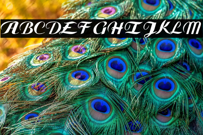 Gauche Display Example 3