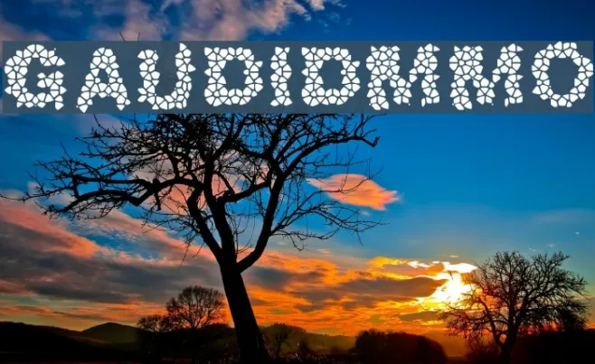 GaudiDemo Example 2