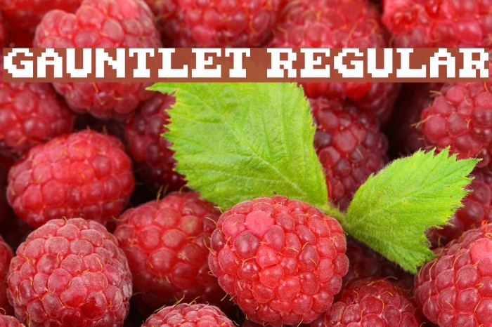 Gauntlet Regular Font examples