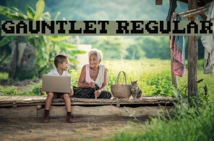 Gauntlet Regular Font examples