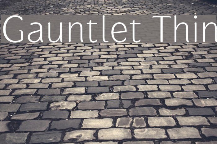 Gauntlet Thin Font examples