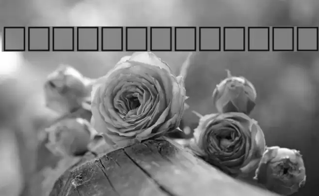 Gauri Regular Font examples