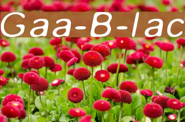 Gaussian-Blur-Italic Font examples