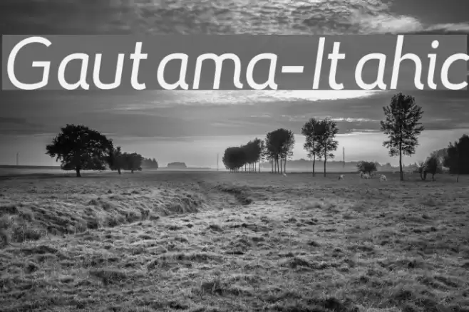 Gautama-Italic Font examples