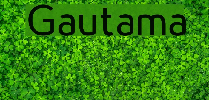 Gautama Example 1