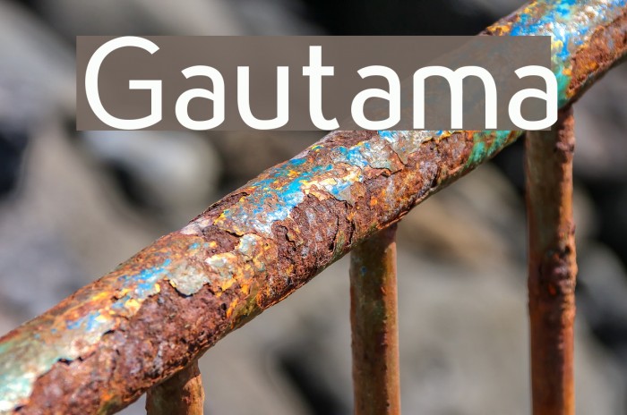 Gautama Example 3