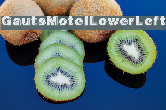 GautsMotelLowerLeft Example 1