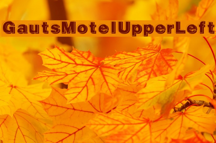 GautsMotelUpperLeft Font examples