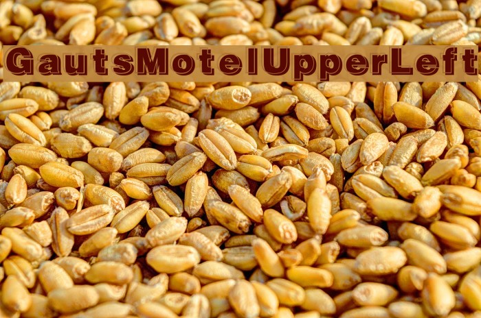 GautsMotelUpperLeft Font examples